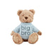 Big Brother/Big Sis Plush Bears