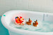 Santa And His Reinducks Bath Toy Set