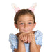 Bunny Ears with Bows Hair Clip Pair on Gift Card
