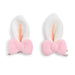 Bunny Ears with Bows Hair Clip Pair on Gift Card