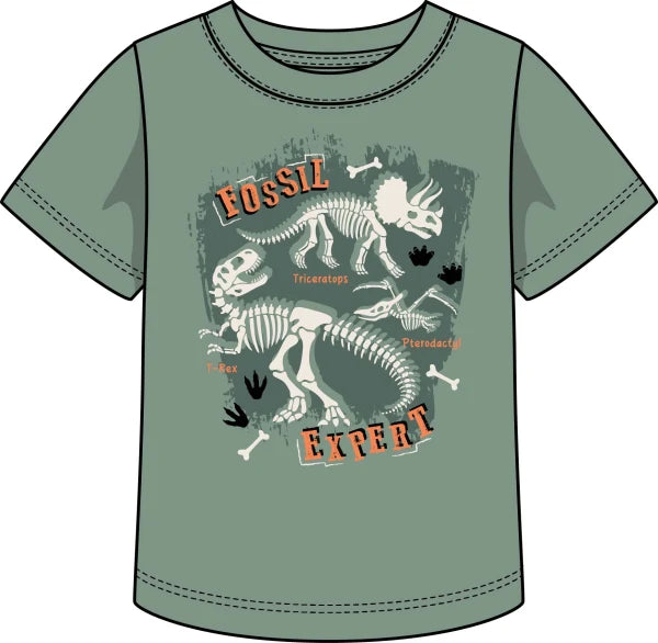 BOYS FOSSIL EXPERT TOP
