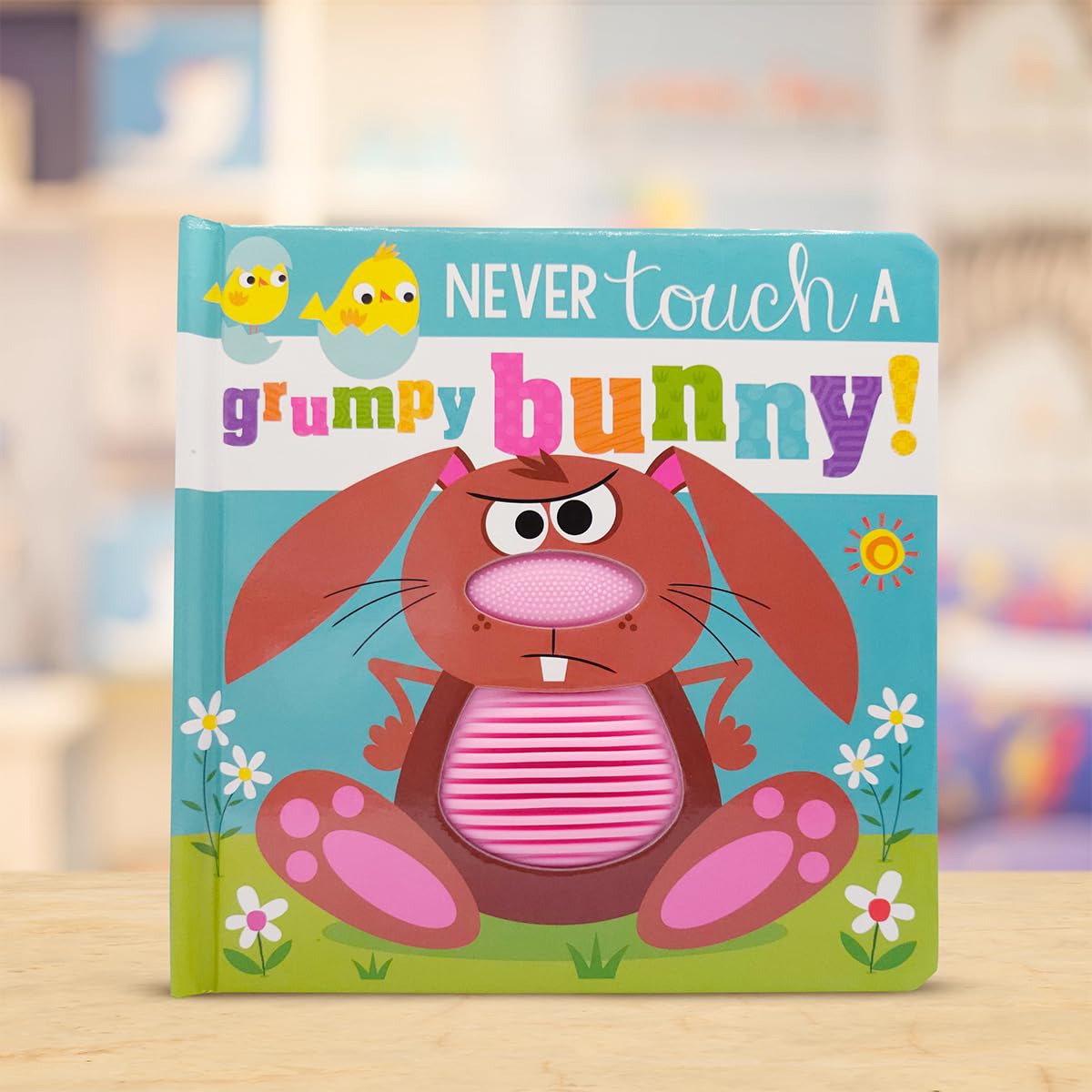 Never Touch a Grumpy Bunny! Board book