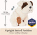 GUND Toast Bulldog Puppy Plush, Stuffed Animal