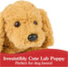 GUND Muttsy Dog Plush, Premium Plush Puppy Stuffed Animal