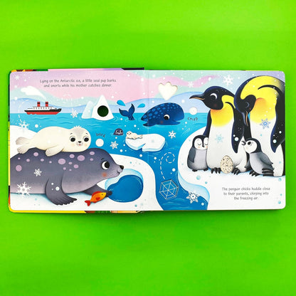 Baby Animal Sounds: An Interactive Sound Book