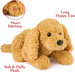 GUND Muttsy Dog Plush, Premium Plush Puppy Stuffed Animal