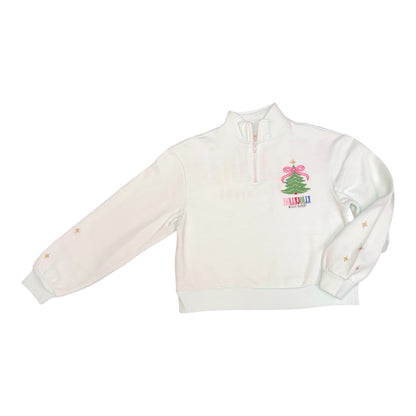 Holly Jolly Embroidery 1/4 zip Sweatshirt