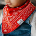 4 Pack Baby Bandana Bibs - Boone