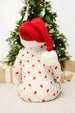 Santa Beanie 0-6M