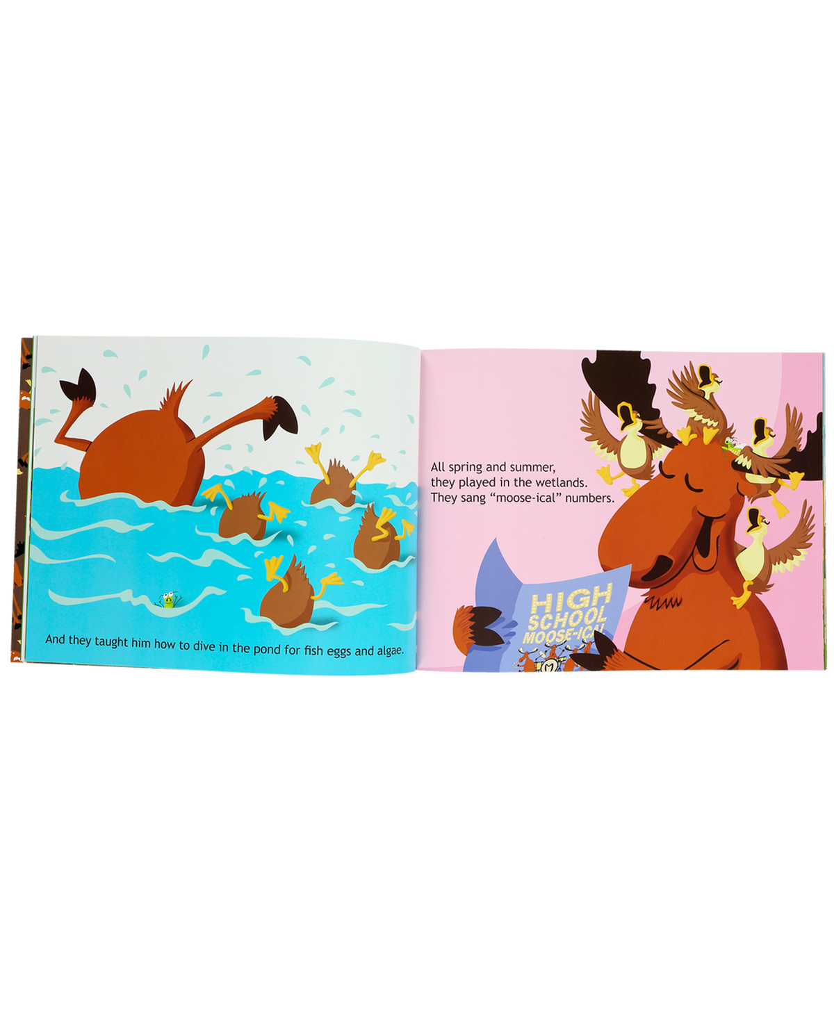 Duck Duck Moose Children's Book