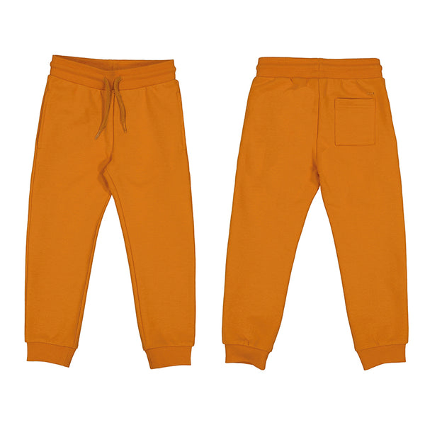 Joggers for boys -20