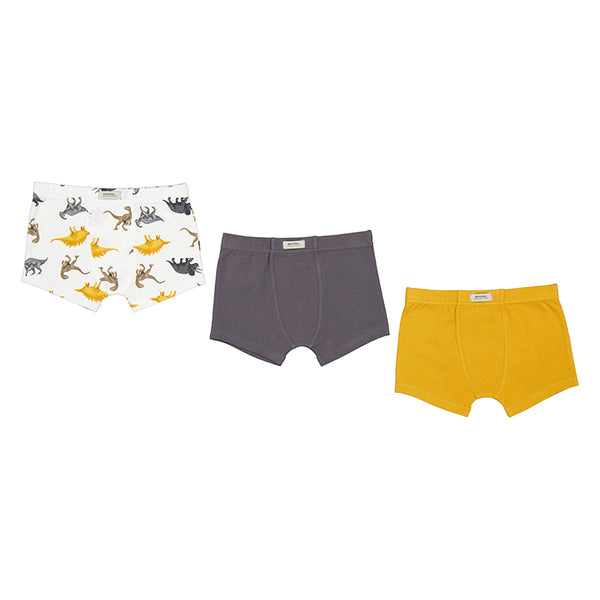 Boy 3-Pack Boxers - Dino