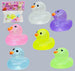 Dough Doughs 6Ducks
