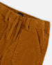 Stretch Corduroy Jogger Pants Caramel Brown