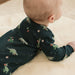 Holiday Dinosaur Print on Navy Sleeper