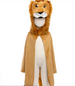 Storybook Lion Cape