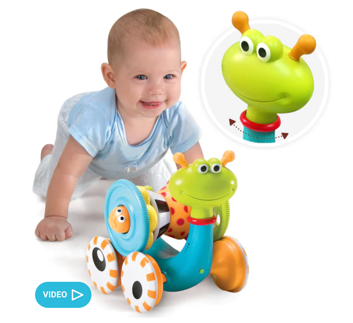 Crawl 'N' Go Snail