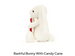 Bashful Bunny with Candy Cane 1 per customer