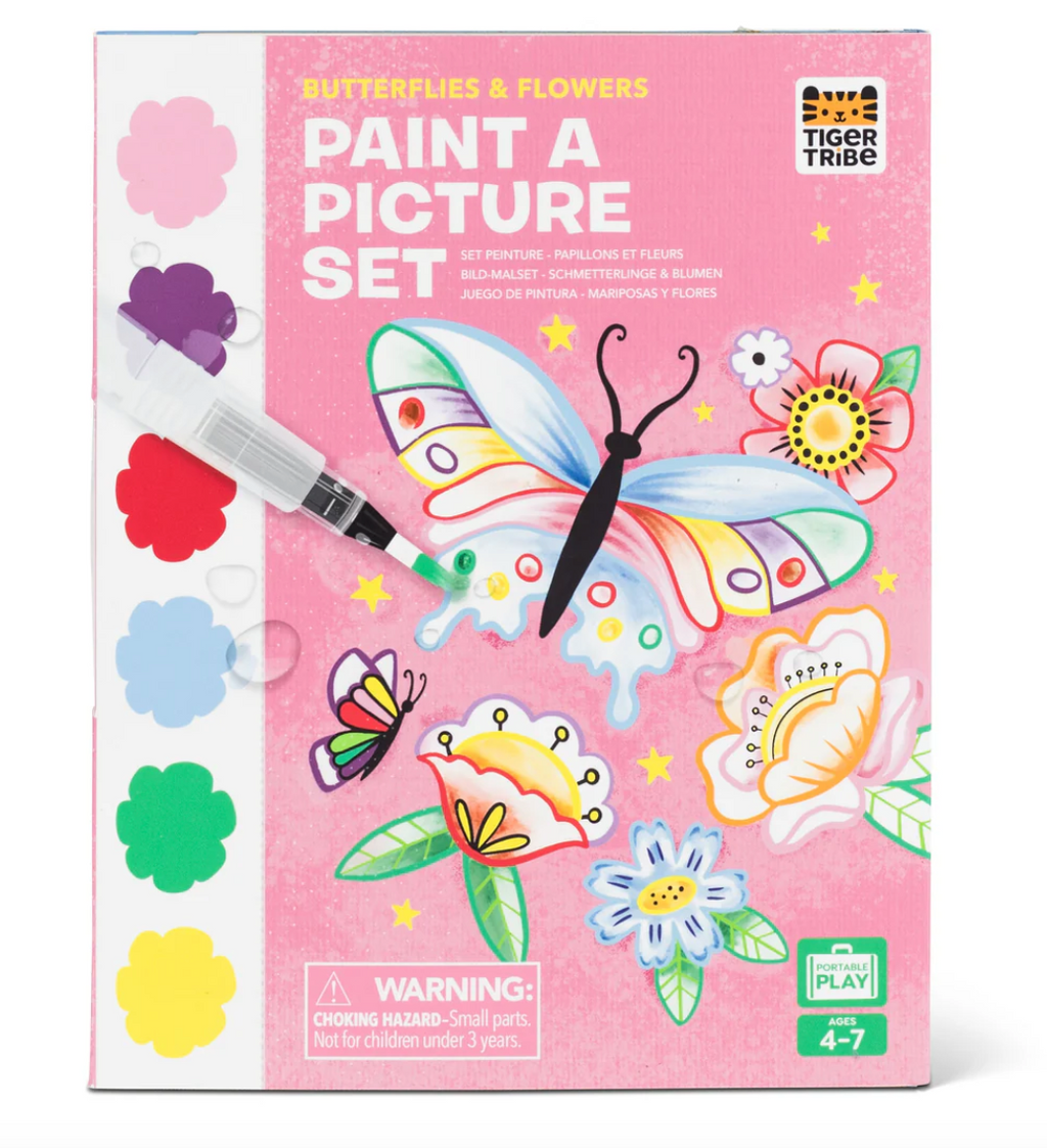 Paint a Picture Set - Butterflies & Flowers