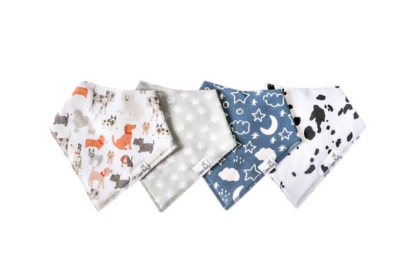 Rufus Bandana Bib Set (4-Pack)
