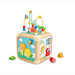 Hape Green Thumbs Activity Cube (local pick up only)