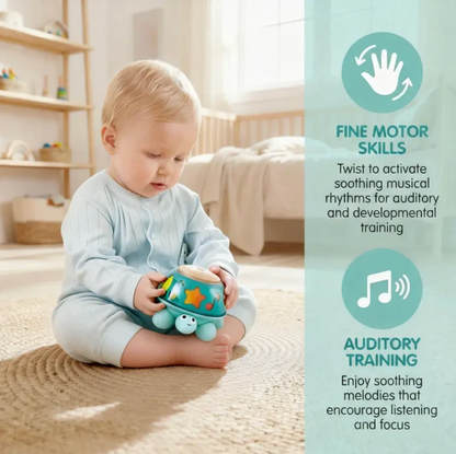 Hape Twist & Tune Turtle