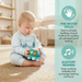Hape Twist & Tune Turtle