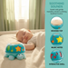Hape Twist & Tune Turtle
