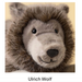 Ulrich Wolf
