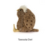 Tawoola Owl