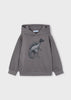 Boy Printed Sweatshirt - Grey Dino