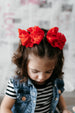 IN AWE - Ruffle Clip sets