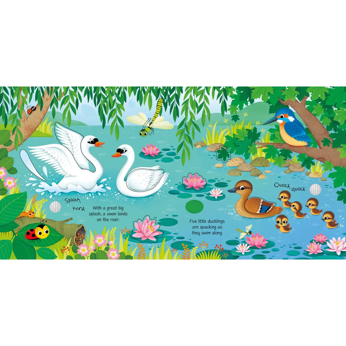 Bird Sounds: Usborne