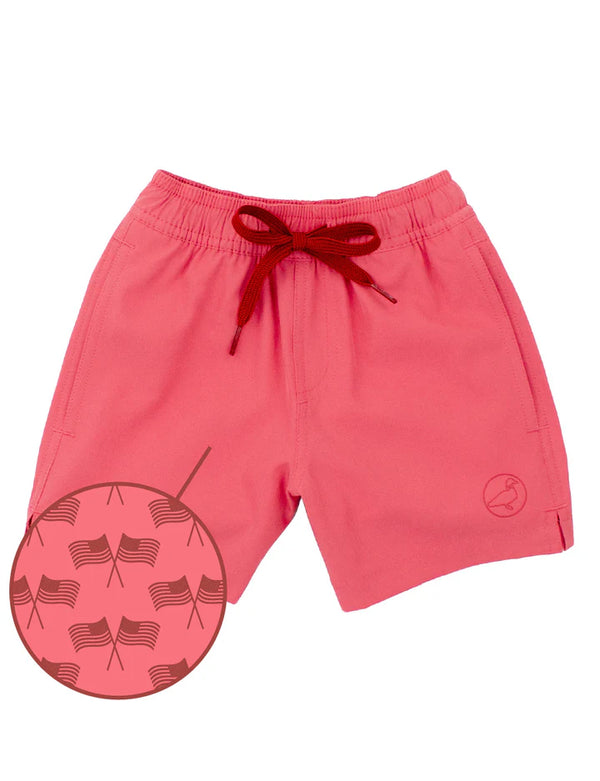 Boys Splash Swim - flag