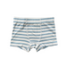 BOY'S BOXERS - SKI BLUE STRIPE/SLED DOGS