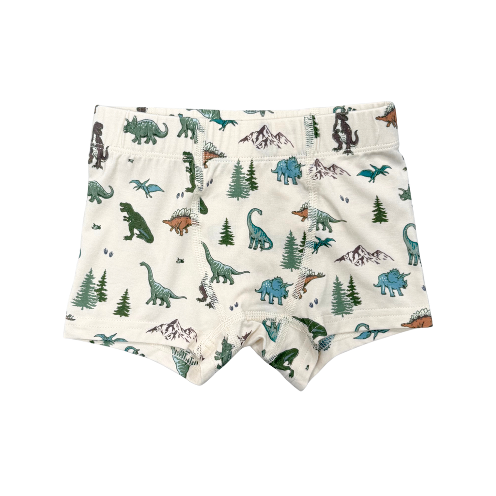 Boy's Boxer - Dino Land