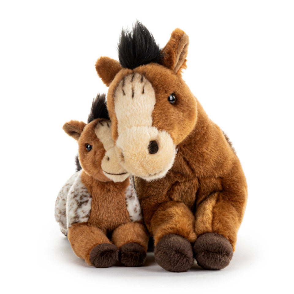 Appaloosa Horse and Baby