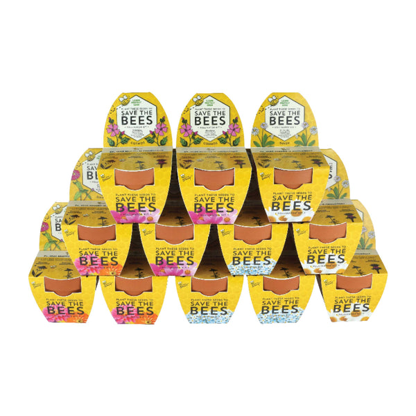 BUZZY Save the Bees Classic Terra Cotta Grow Kit