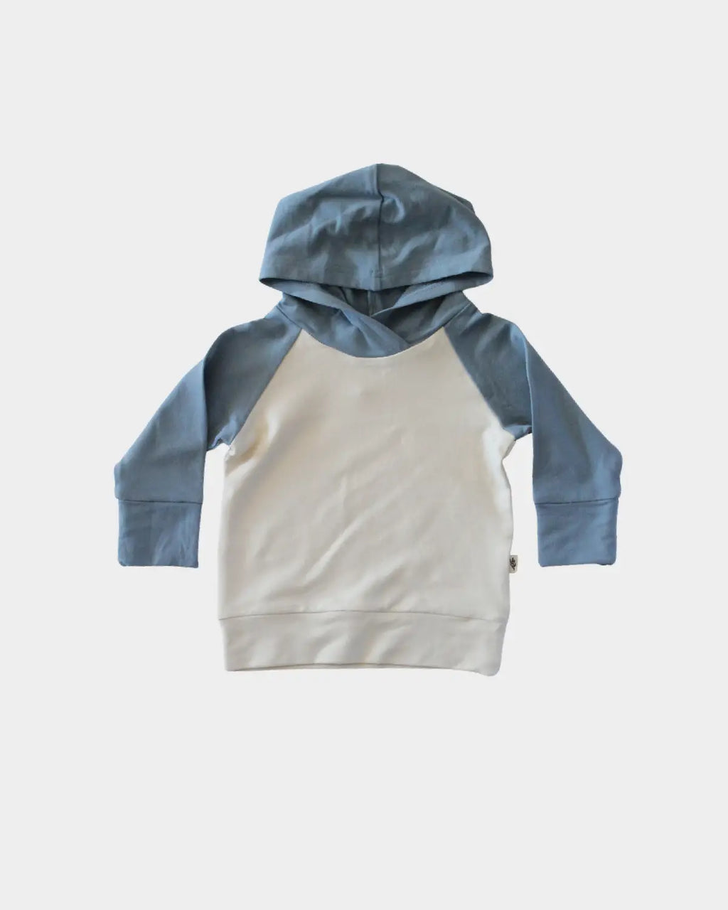 Baby Boy - Colorblock Hoodie in Slate Blue