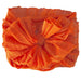 In Awe - Orange