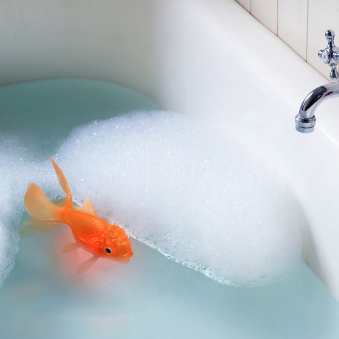 KOI TOY - LIGHT-UP GOLDFISH